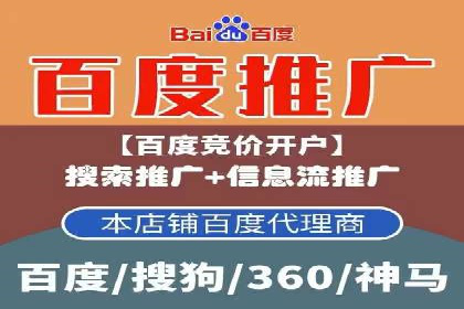 搜索引擎营销（SEM）在本地市场的投放案例